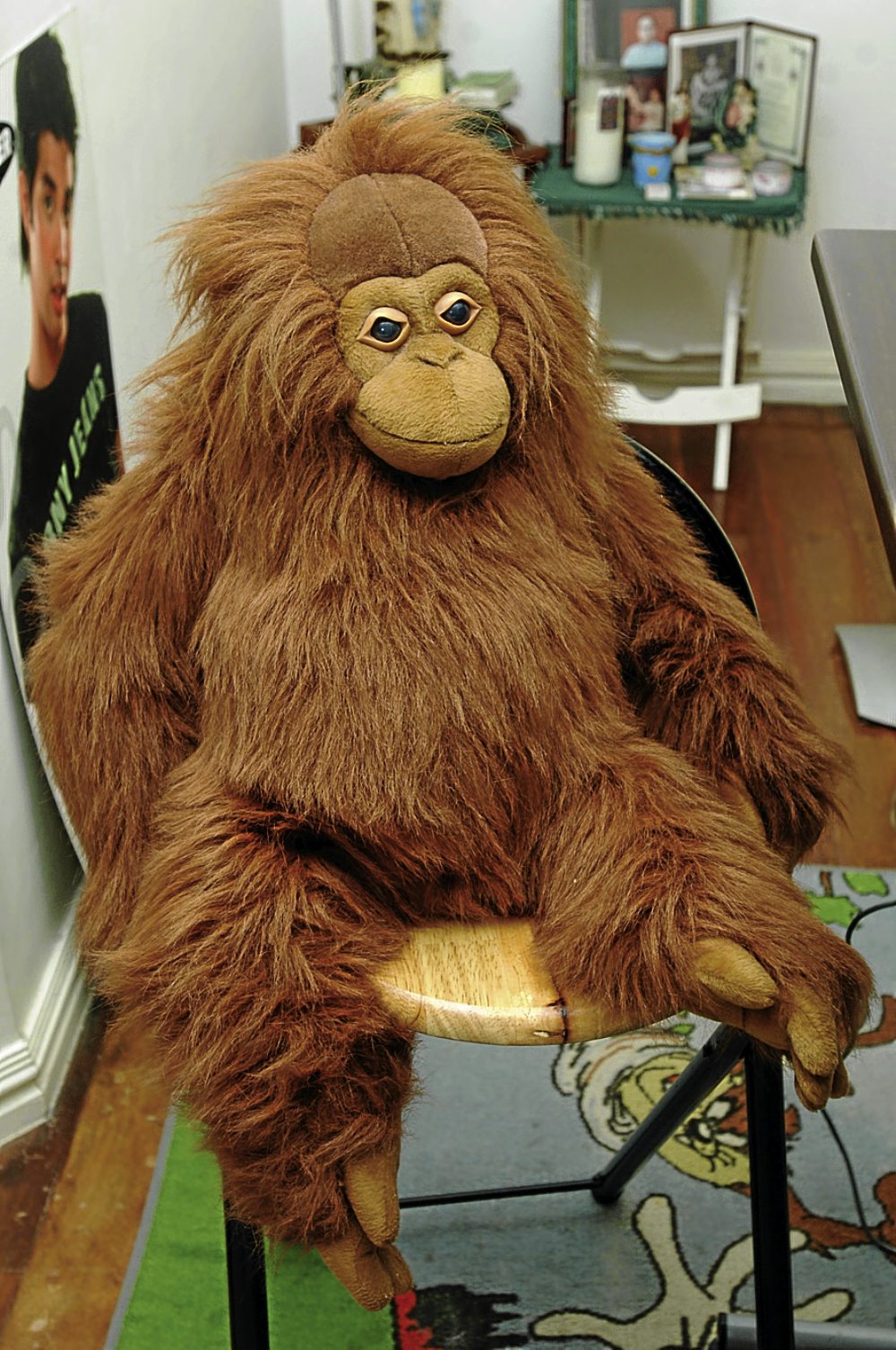 orangutan iceland teddy