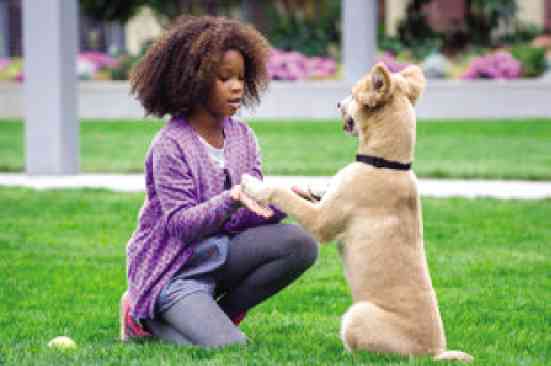 WALLIS. Racially blind casting for “Annie” reboot. 