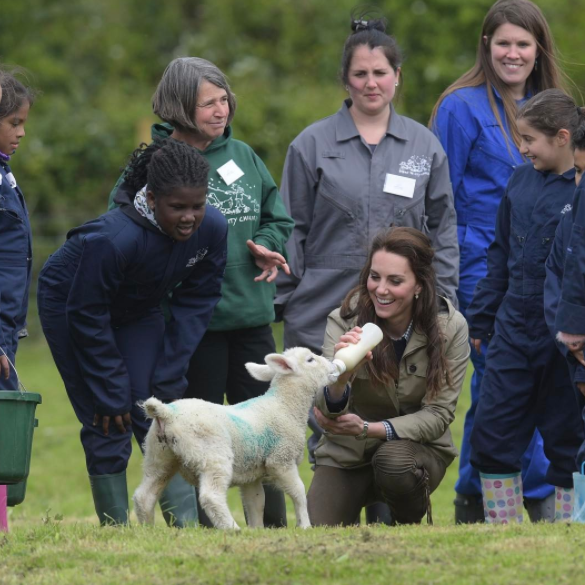 Kate Middleton feeds lamb
