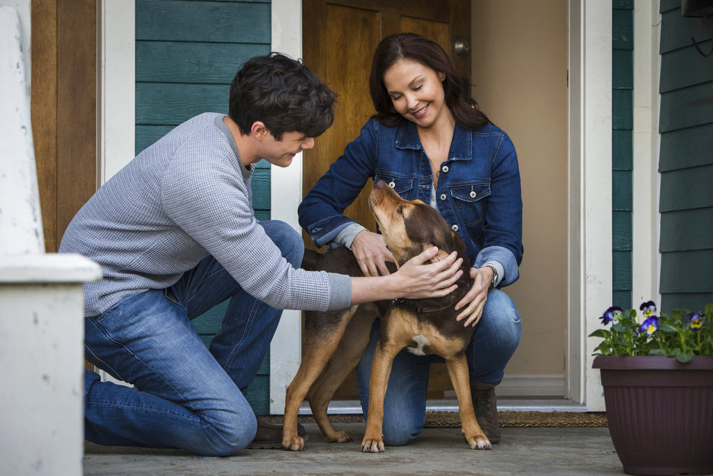 Jonah Hauer King, Ashley Judd, A Dog's Way Home