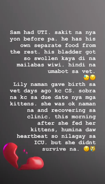 Paolo Ballesteros mourns pet cats