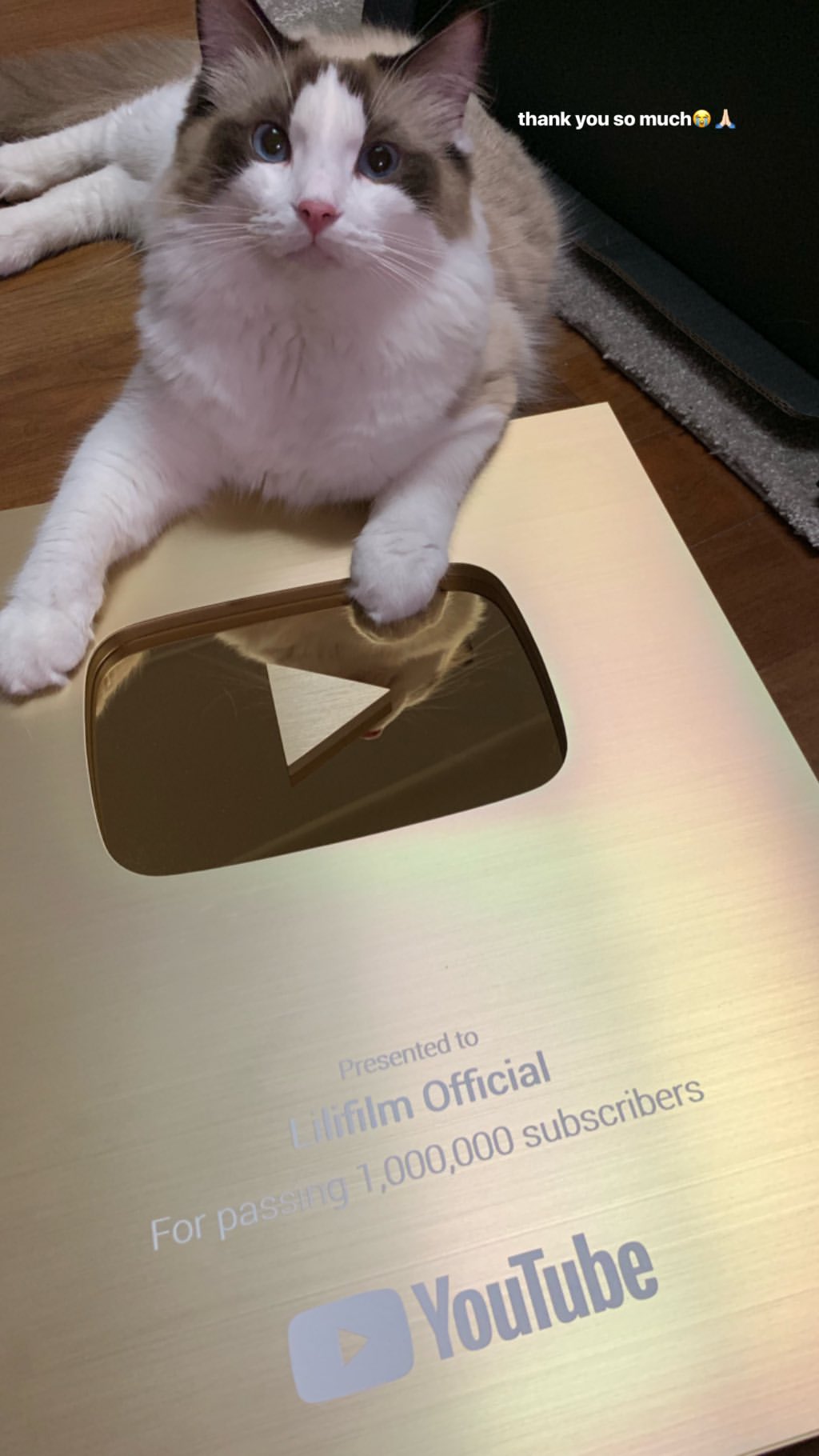 Lisa's Youtube Gold Play Button
