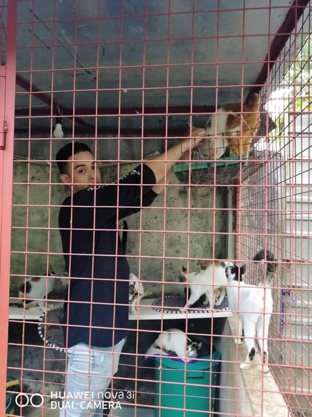 Diego Loyzaga animal shelter