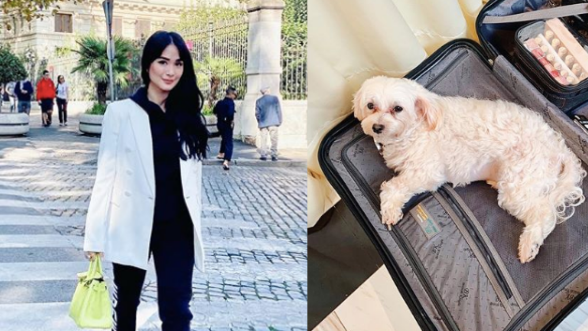 GMA News - LOOK: Heart Evangelista took to Instagram to thank Kuya Victor,  the guy who found and returned her missing dog Casper. Look at Casper's  smile! Thank you so much to