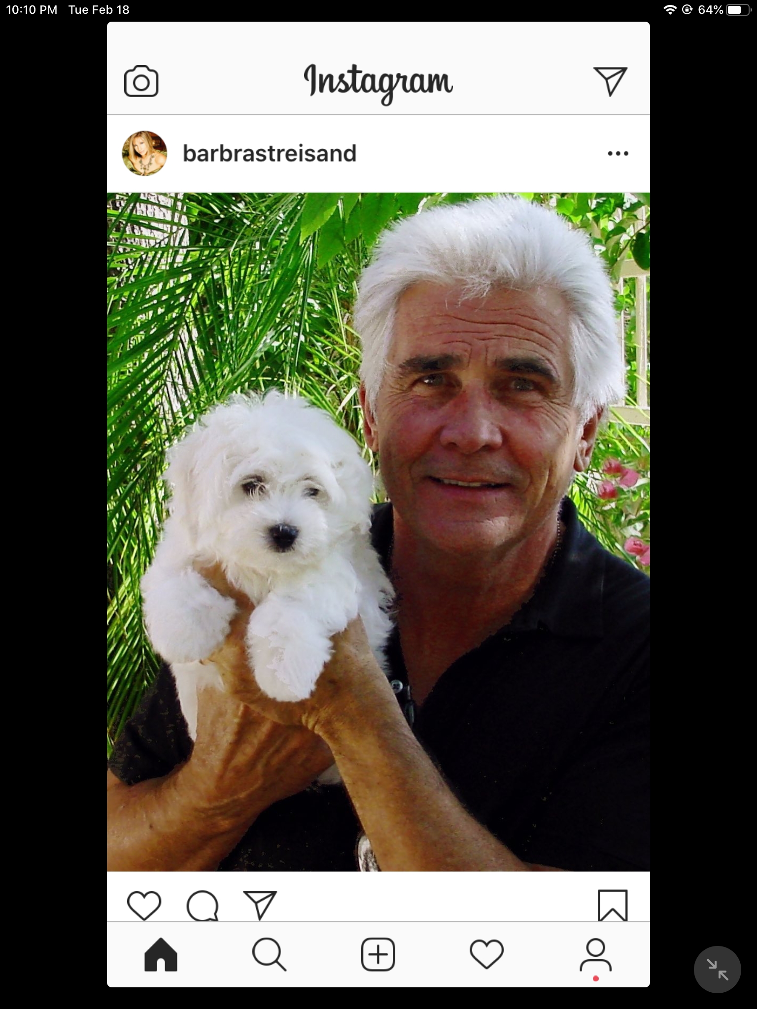 James Brolin presents wife Barbra with this canine cutie