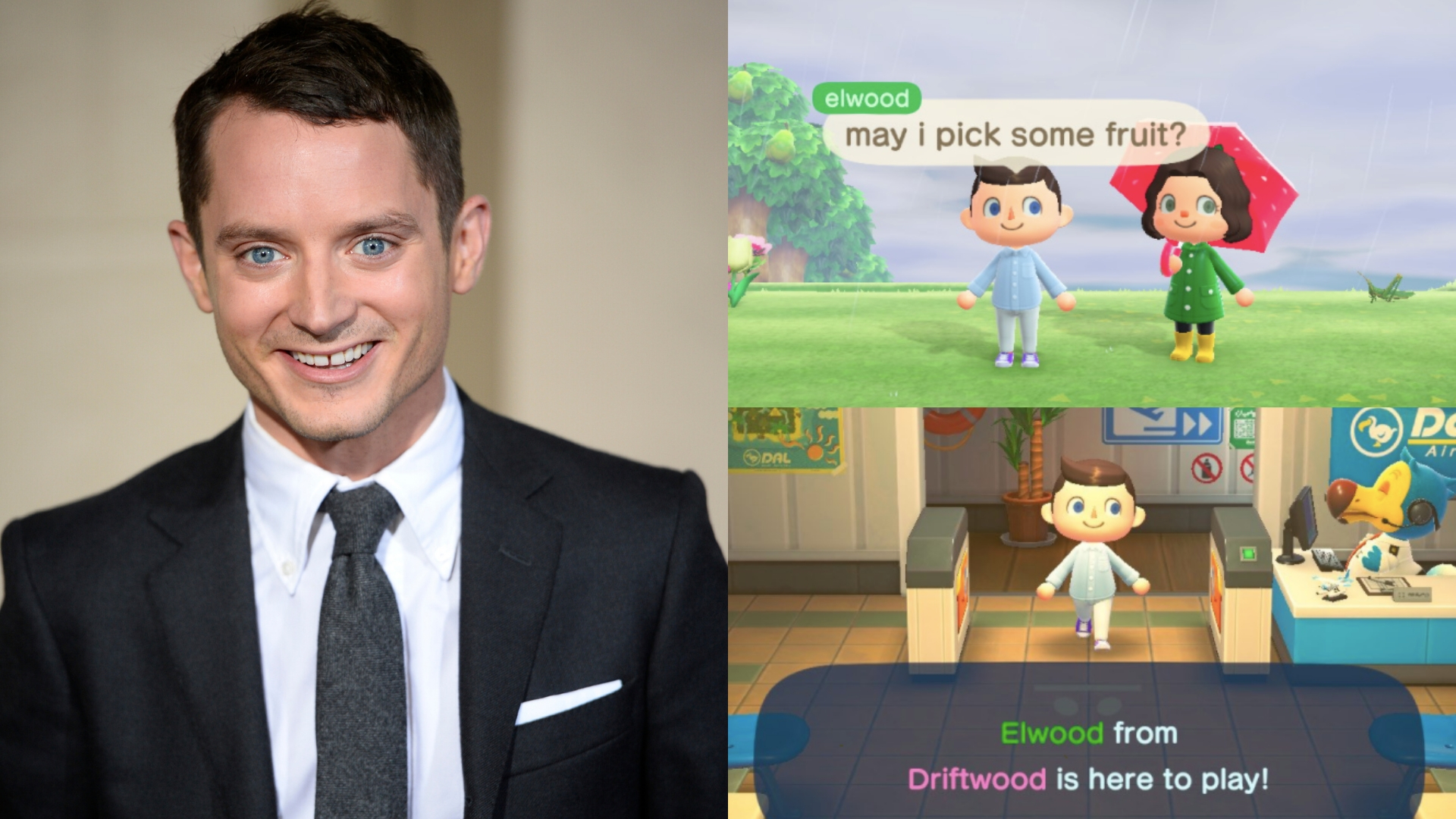 Elijah Wood visiting fan's ‘Animal Crossing’ island Inquirer