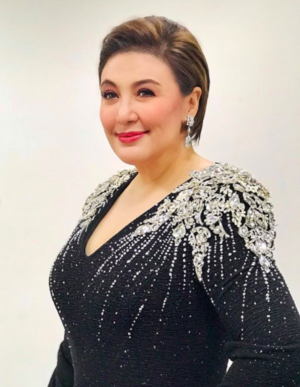 ‘Now you’ve asked for war’: Sharon Cuneta blasts Ronald Carballo for ...