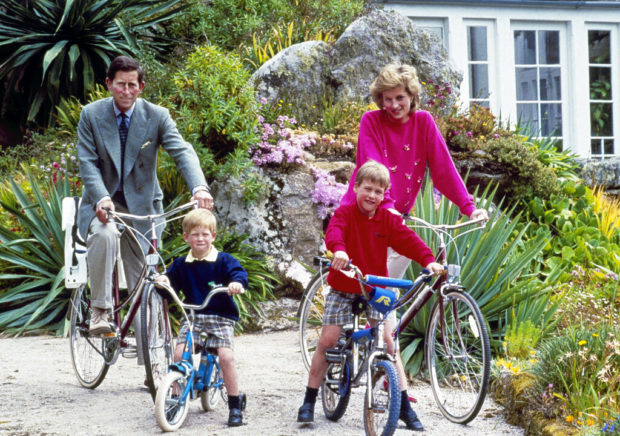 Royal family - Princess Diana, Prince Charles, Prince William, Prince Harry