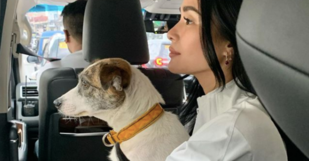 Heart Evangelista recalls chasing her dog on road while in high heels ...