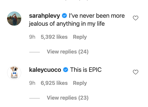 Sarah Levy, Kaley Cuoco comments