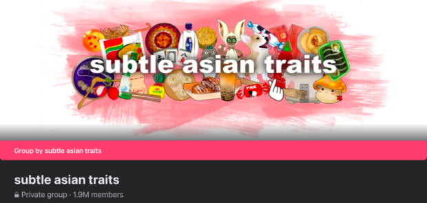 Subtle Asian Traits