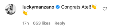 Luis Manzano comment