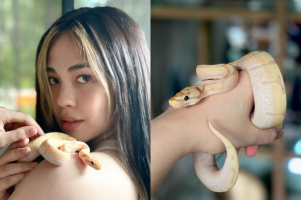 Janella Salvador pet snake