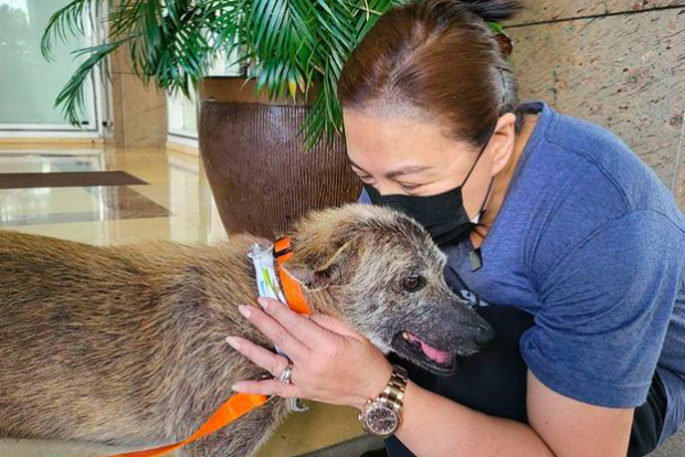 Sharon Cuneta and pet dog Pawi