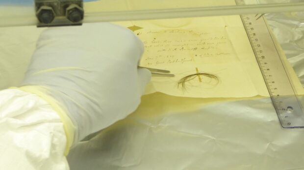 This undated image shows the Stumpff Lock of hair from German composer Ludwig van Beethoven in a laboratory at the Max Planck Institute for the Science of Human History, in Jena, Germany. - Beethoven died in Vienna nearly 200 years ago after a lifetime of composing some of the most influential works in classical music. Ever since, biographers have sought to explain the causes of the German composer's death at the age of 56, his progressive hearing loss and his well-documented struggles with chronic illness. A team of researchers who sequenced Beethoven's genome using locks of the German composer's hair may now have some answers. Liver failure, or cirrhosis, was the possible cause of Beethoven's death brought about by a number of factors, including the composer's alcohol consumption, they said. (Photo by Anthi Tiliakou / Max Planck Institute for the Science of Human History / AFP) / RESTRICTED TO EDITORIAL USE - MANDATORY CREDIT "AFP PHOTO / Anthi Tiliakou / Max Planck Institute for the Science of Human History" - NO MARKETING NO ADVERTISING CAMPAIGNS - DISTRIBUTED AS A SERVICE TO CLIENTS