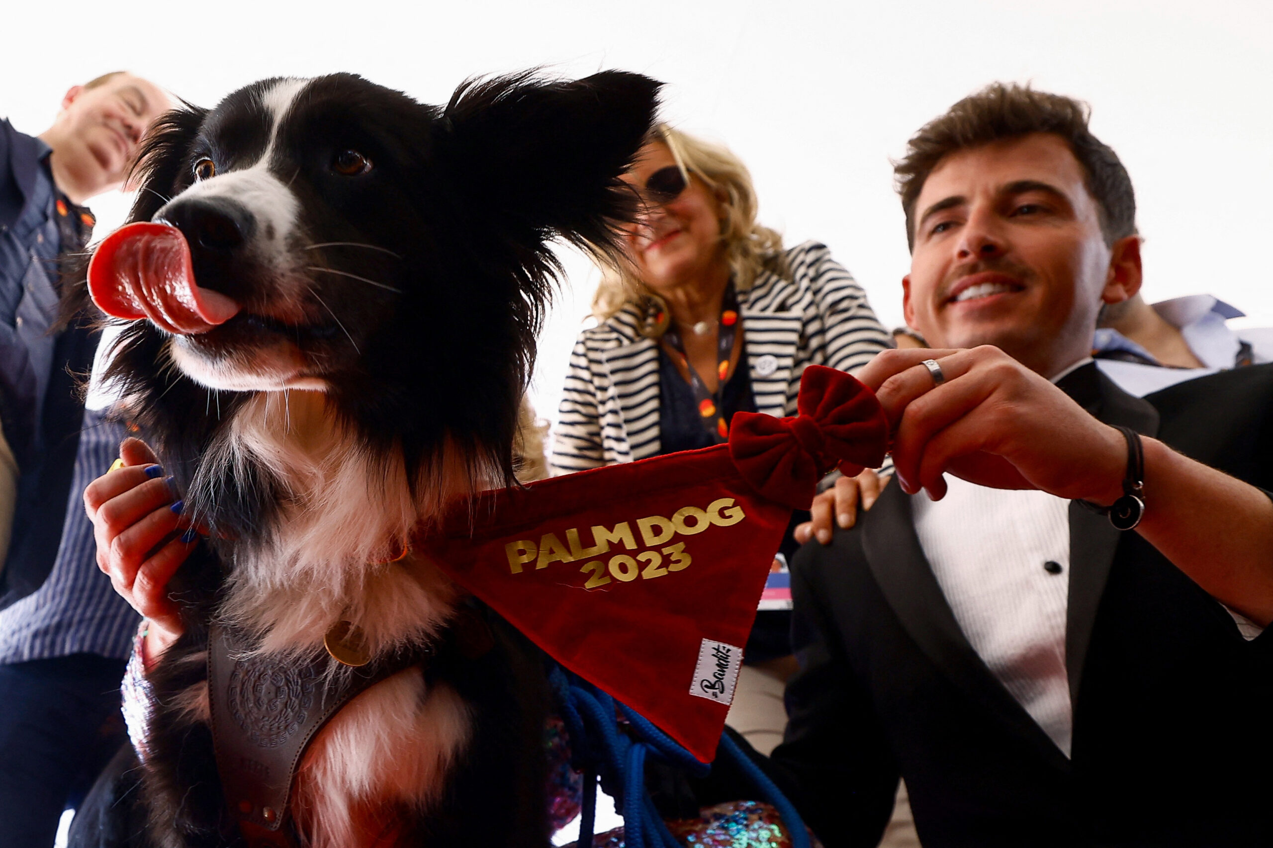 The 76th Cannes Film Festival - The Palm Dog Awards - Cannes, France, May 26, 2023. Stan, a Border Collie, receives the Palm Dog award on-behalf of the dog named Snoop of the film "Anatomie d'une chute" (Anatomy of a Fall). REUTERS/Eric Gaillard
