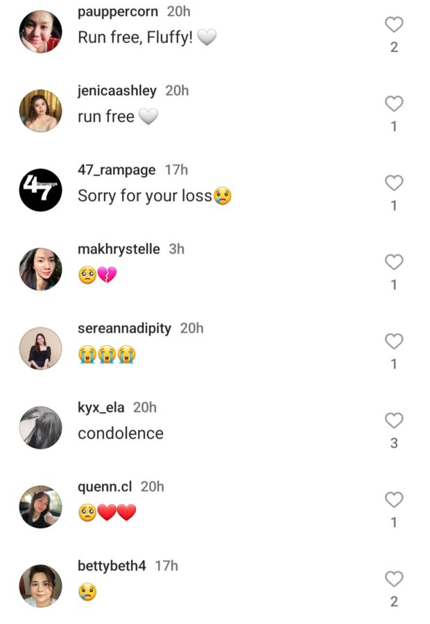 Instagram comments
