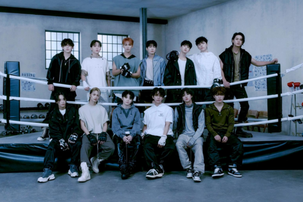 Seventeen members (from top left) S.coups, Seungkwan, DK, Wonwoo, Hoshi, Vernon, Mingyu; (from bottom left) Dino, The8, Joshua, Woozi, Jun, Jeonghan. Image: Pledis Entertainment via The Korea Herald