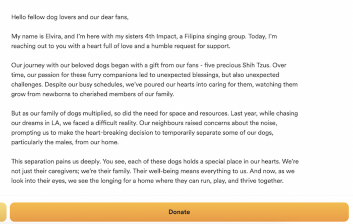 Image: Screengrab from gofundme's official website