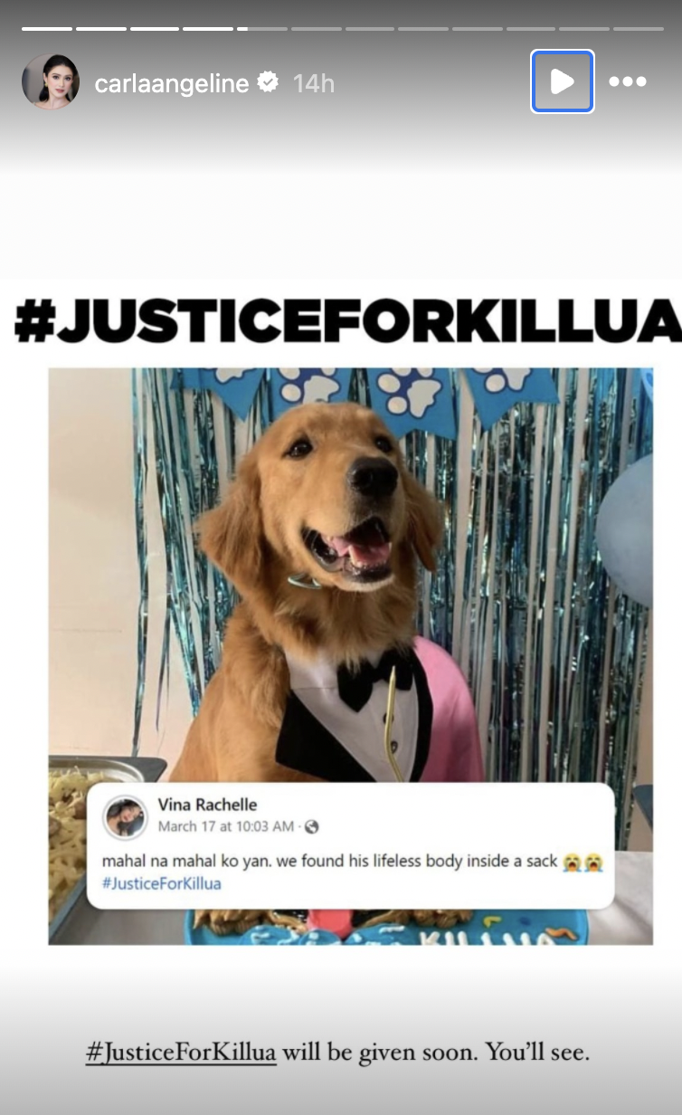 Sarah Geronimo, Carla Abellana, other celebs condemn killing of dog Killua