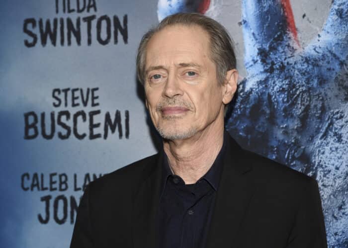 Actor Steve Buscemi punched in the face in random attack in New York City