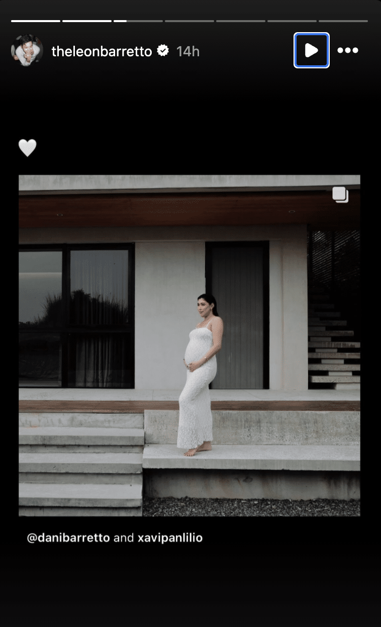Dani Barretto pregnant with baby no. 2