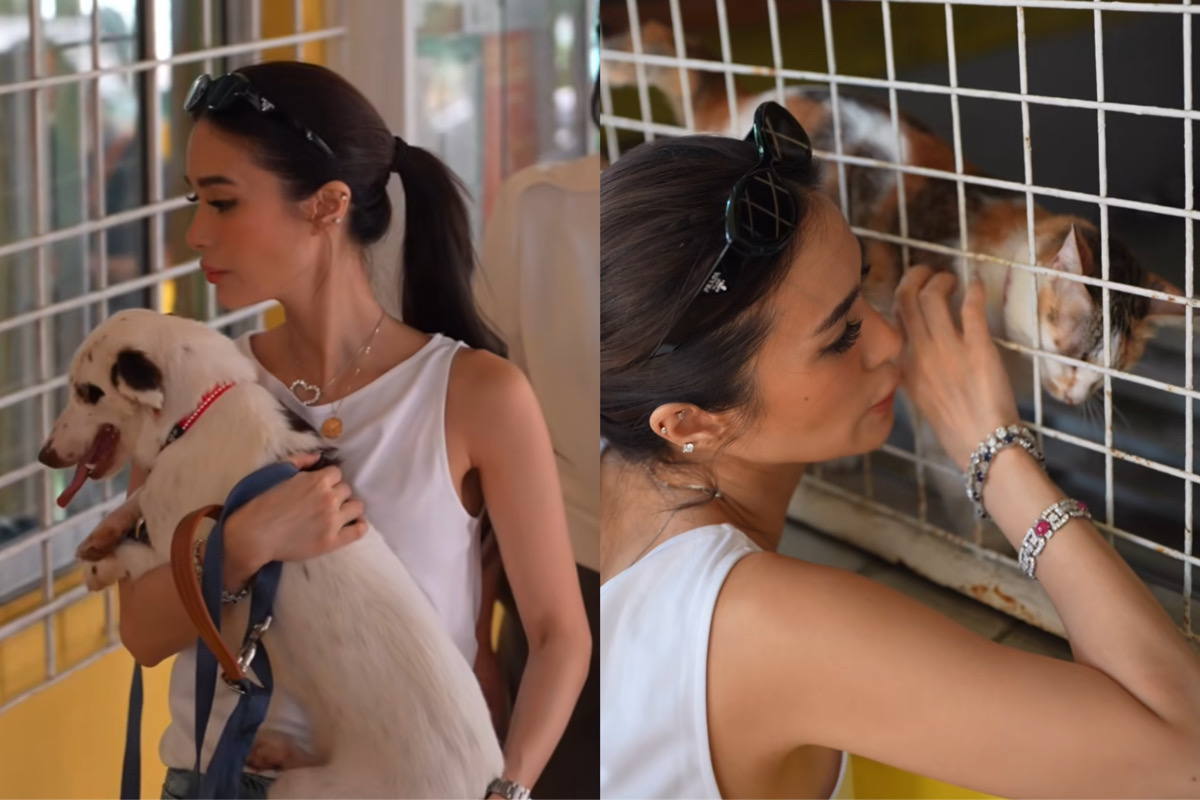Heart Evangelista extends help to homeless, abandoned pets after Carina