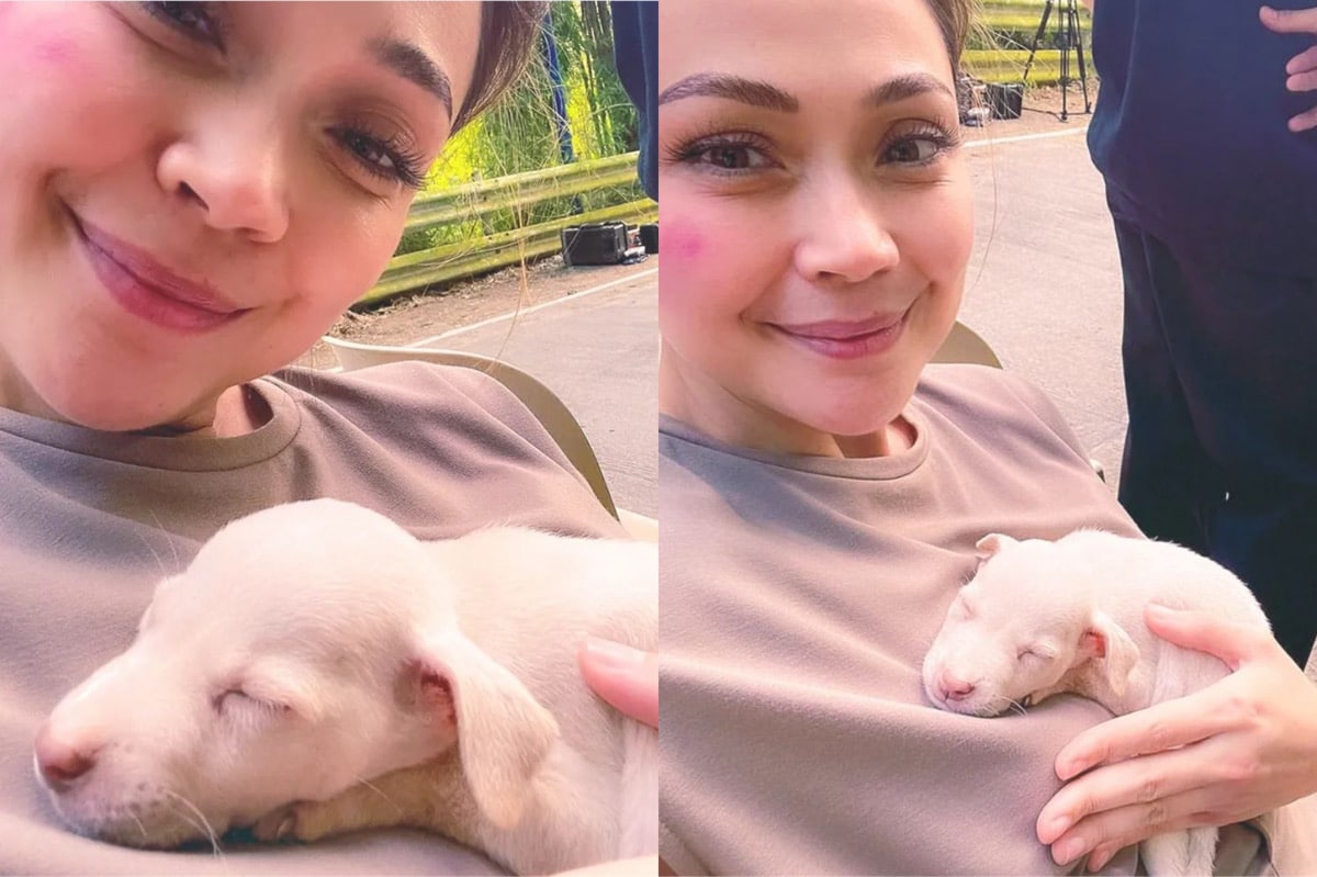 Jodi Sta. Maria adopts abandoned puppy found in filming set