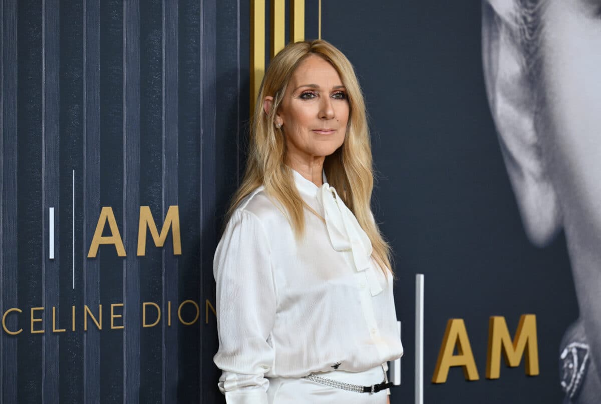 Celine Dion jabs Trump for playing 'Titanic' song at rally