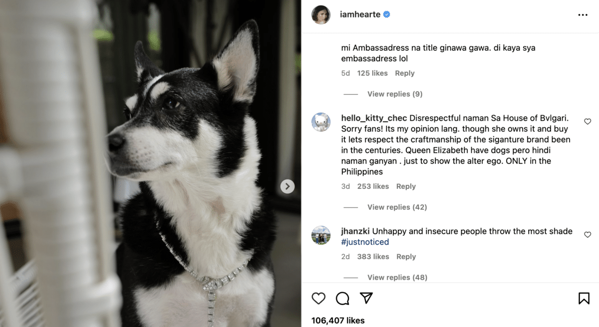 Heart Evangelista's pet dog's P11M necklace sets tongues wagging