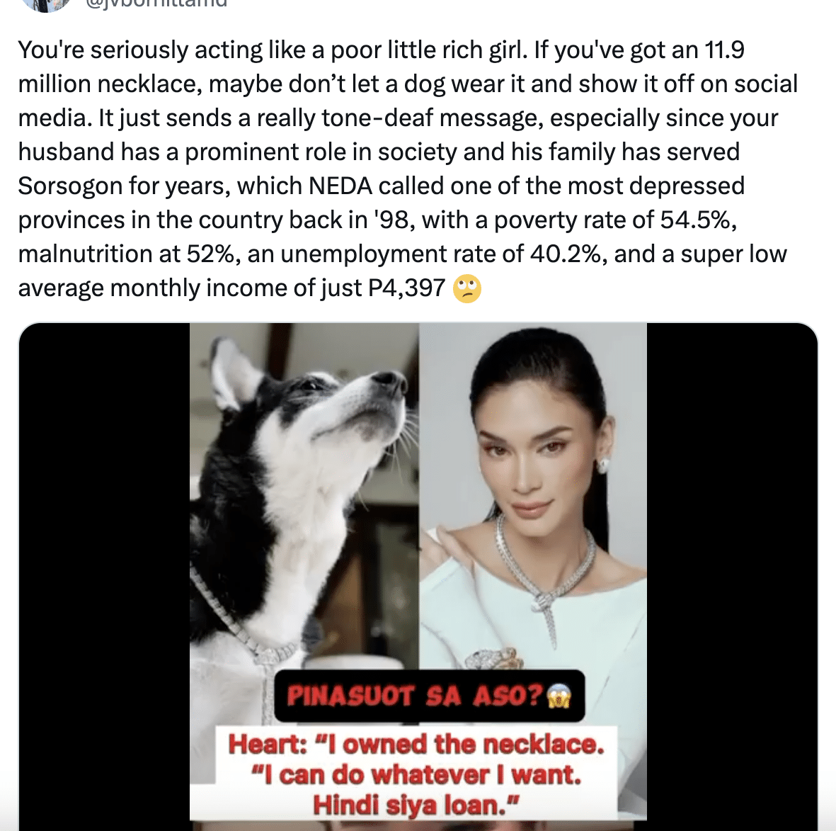 Heart Evangelista's pet dog's P11M necklace sets tongues wagging