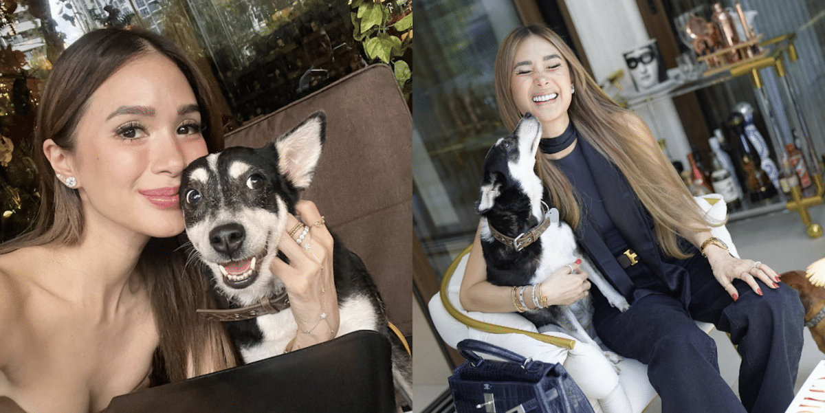 Heart Evangelista invites aspin Yoda for tea after Tagaytay resto furor 