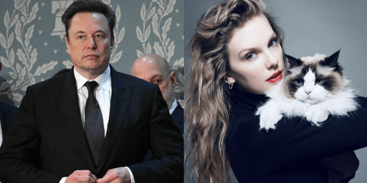 Elon Musk and Taylor Swift