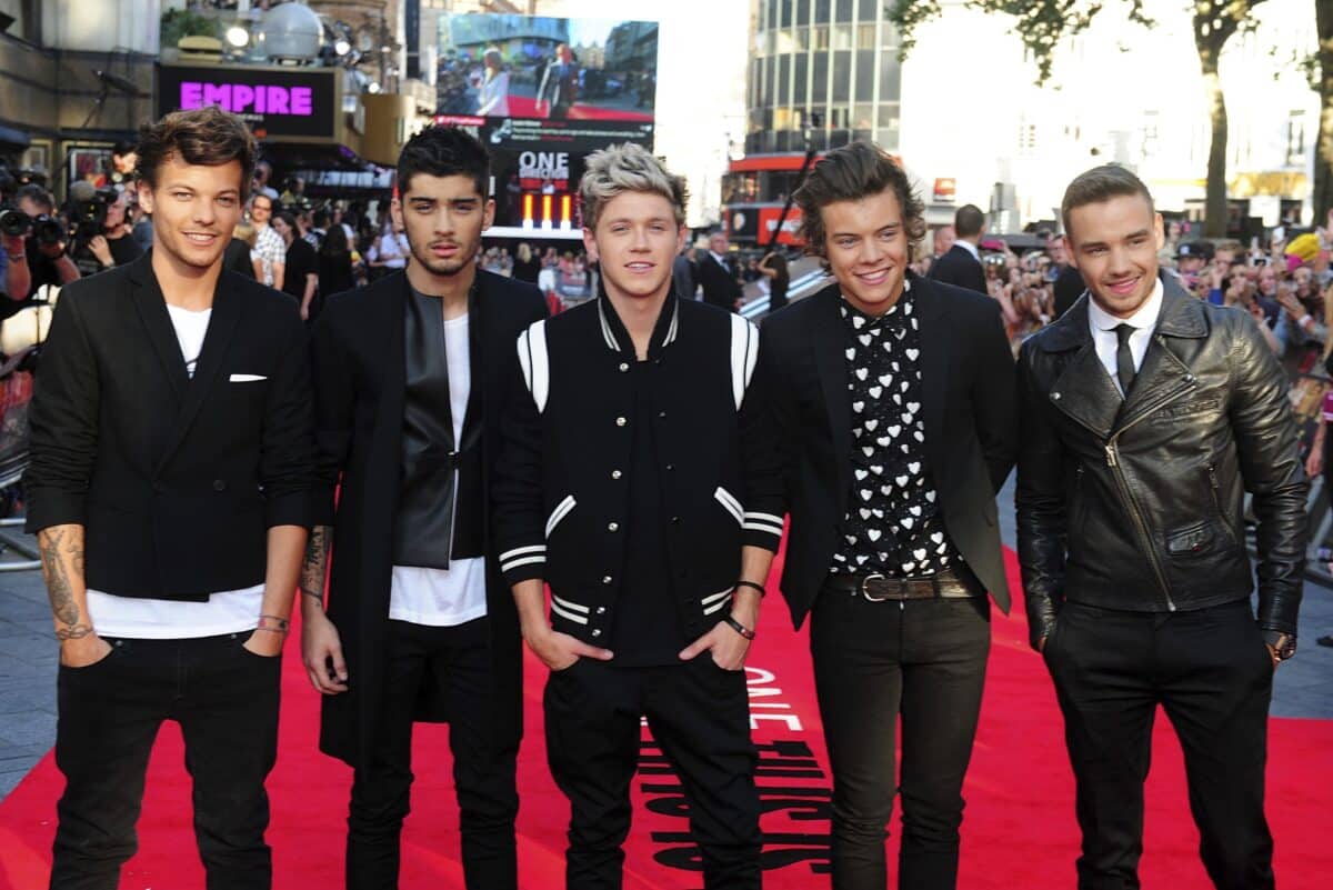 One Direction's members all sought solo success after widespread fame