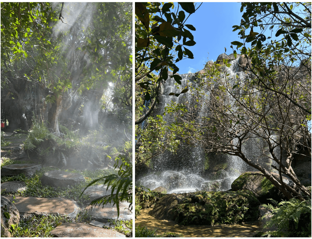 Chiang Mai, Cebu Pacific