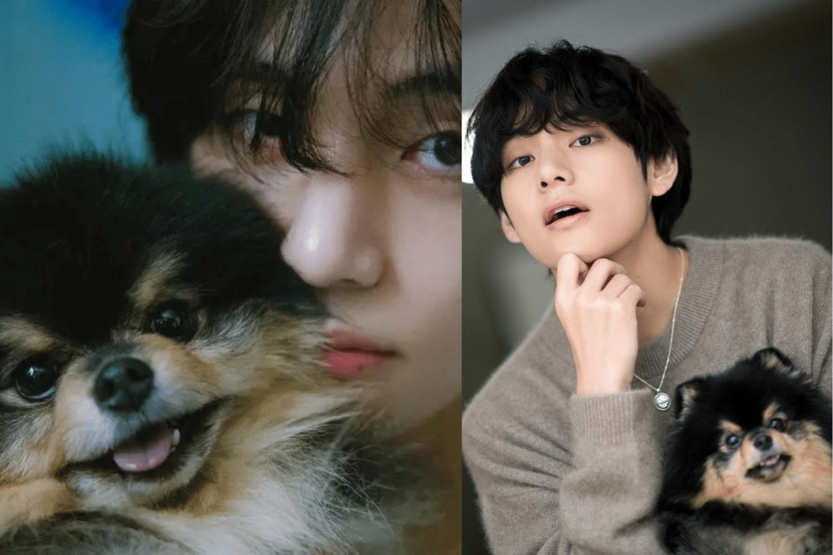 BTS’ V mourns loss of pet dog Yeontan: ‘A long journey to the stars’. Images: Dispatch, X/@BIGHIT_MUSIC