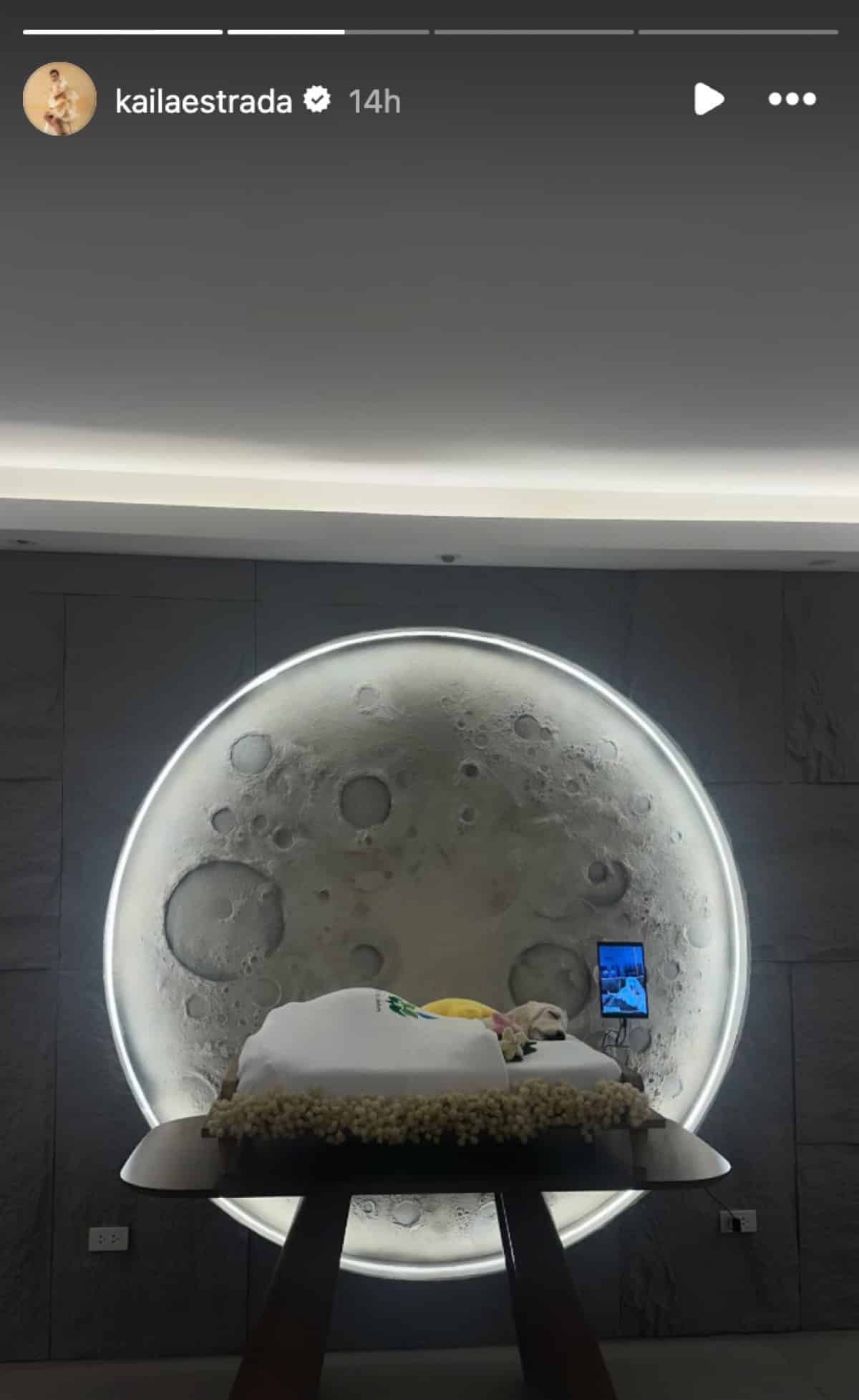 Kaila Estrada deeply saddened after the death of pet dog Sansa