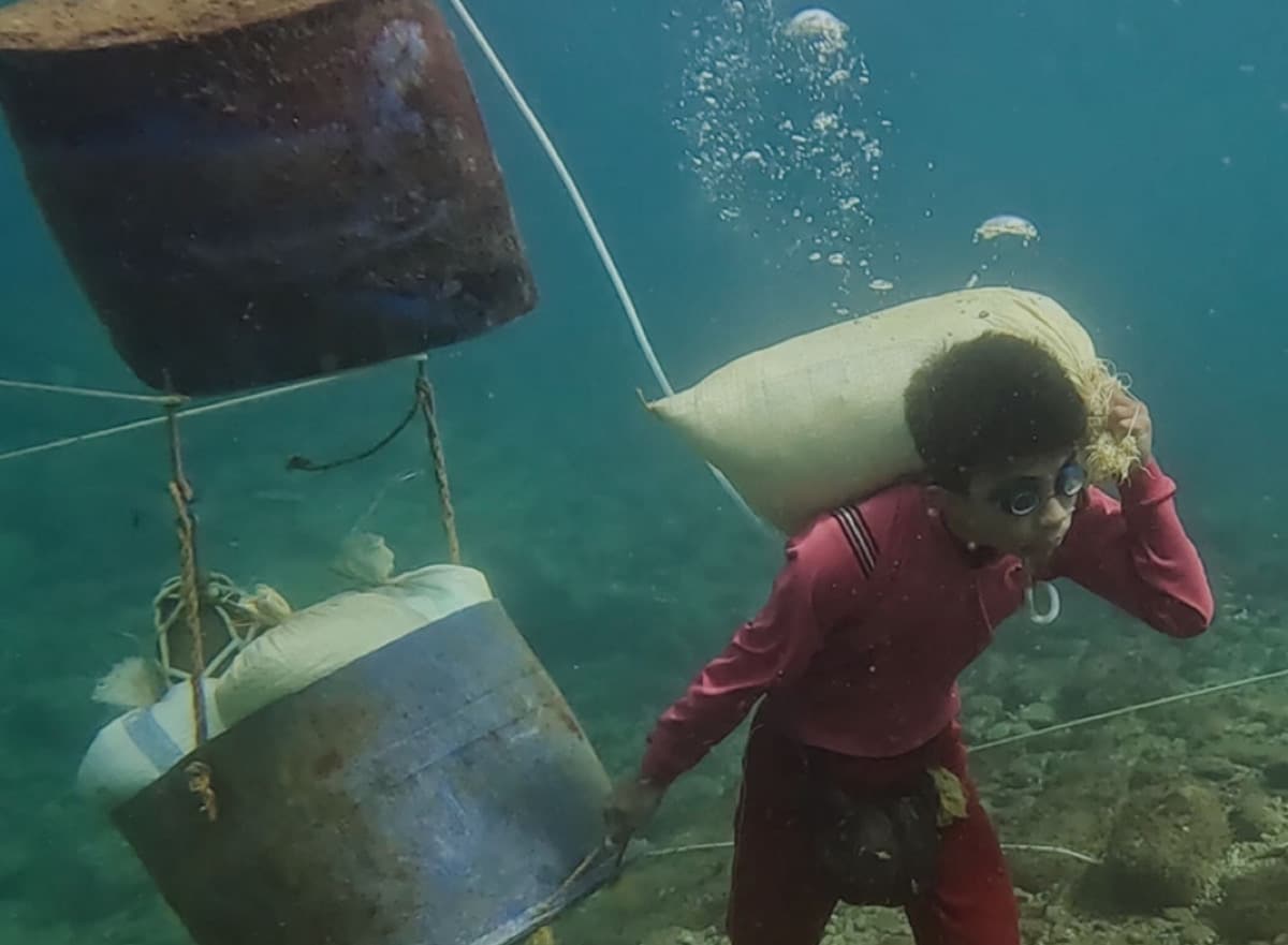 French docufilm about PH among 2025 International Emmy Awards nominees