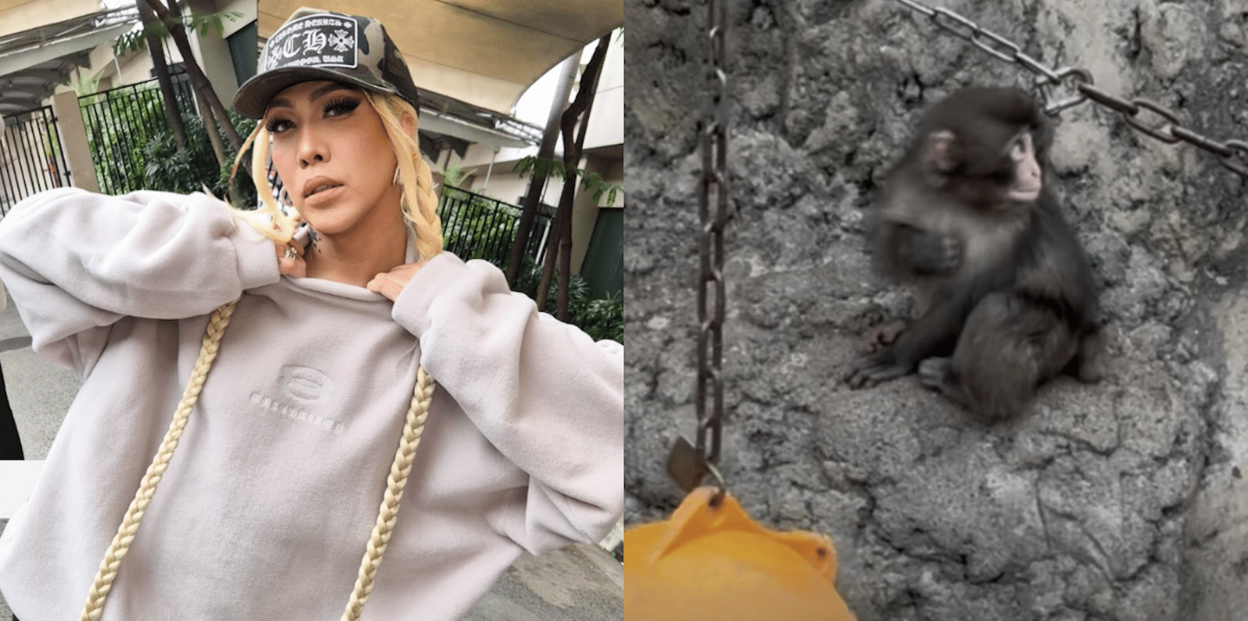 Vice Ganda finally visits viral Japanese monkey Punch: ‘So happy!’