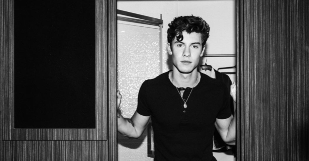 Shawn Mendes Admits Love For Weed 